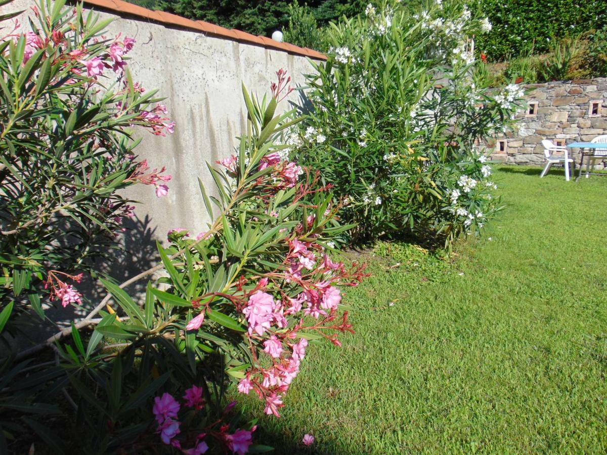 Hortus Lake Orta Omegna Ngoại thất bức ảnh